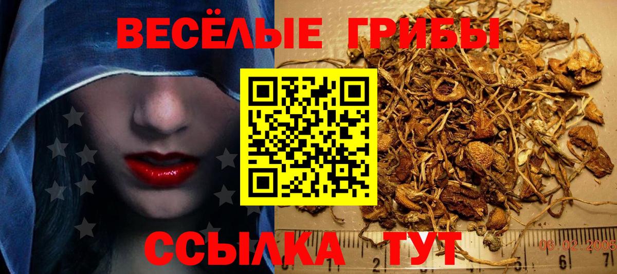 Псилоцибиновые грибы Magic Shrooms  Вход с VPN  Зерноград 